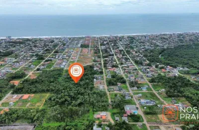 Terreno à venda, 450 m² por r$ 80.000,00 - sai mirim - itapoá/sc