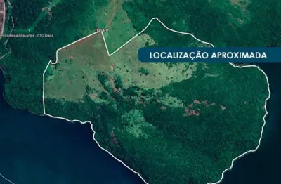 Imóvel rural 202 ha (fazenda nossa senhora de fátima) - chavantes - sp