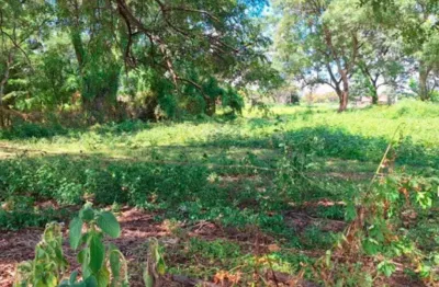 Fazenda à venda no Centro, Cardoso 