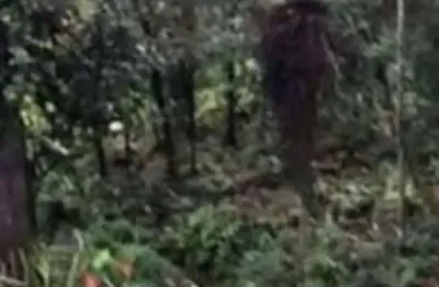 Terreno em condomínio fechado à venda na Rua Safira, Lts. 24, 2, Jardim das Pérolas, Campos do Jordão