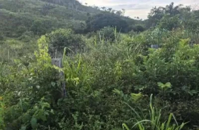 Fazenda 132 ha - alto alegre do pindaré-ma - fazenda santo antônio - zona rural