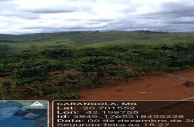 Área Rural 31 ha - Carangola-MG - Sítio São Januário - Distrito de Ponte Alta de Minas