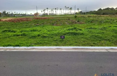Excelente oportunidade! lote à venda com 459,63m² no real parque novo norte em florianópolis/sc