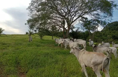 Fazenda à venda na Zona Rural, São José da Barra 