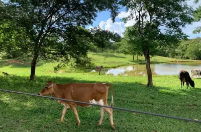 Escriturada há 100km de bsb com riacho gados aves peixes árvores frutíferas