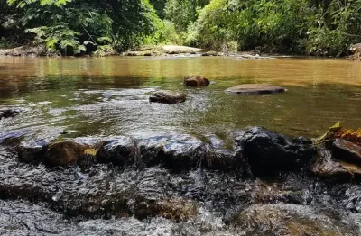 Escriturada há 100km de bsb com riacho gados aves peixes árvores frutíferas