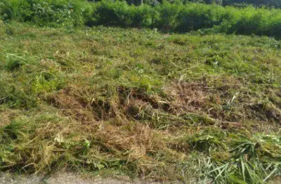 Terreno à venda, 416 m² por r$ 1.200.000,00 - parque morumbi - votorantim/sp