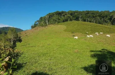 Fazenda à venda, 202000 m² por r$ 980.000,00 - serra - iporanga/sp