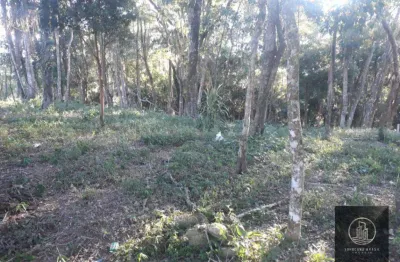 Terreno à venda na Rodovia Bunjiro Nakao, Centro, Piedade
