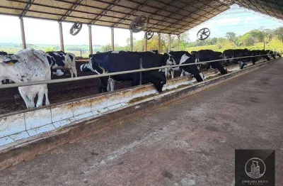 Fazenda à venda, 750200 m² por r$ 4.500.000,00 - centro - emilianópolis/sp
