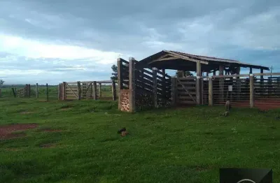 Fazenda à venda, 43560000 m² por r$ 40.000.000,00 - zona rural - vila rica/mt