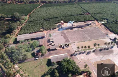 Fazenda à venda por r$ 110.000.000 - zona rural - bahia