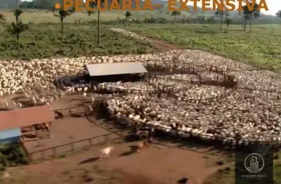 Fazenda à venda, 4270000000 m² por r$ 8.000.000.000 - nova marabá - marabá/pa