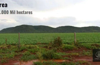 Fazenda à venda na Alameda A, Nova Corumbá, Corumbá