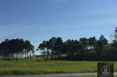 Área, 10900 m² - venda por r$ 3.900.000,00 ou aluguel por r$ 9.500,00/mês - éden - sorocaba/sp