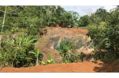 Chácara / sítio com 1 quarto à venda na Estrada Ponte Do Arco, 08, Centro, Matias Barbosa