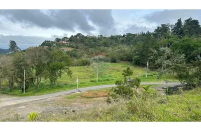 Terreno Comercial de 10.000m² - Localização Estratégica na BR-040, Próximo ao Salva-Terra - Juiz de Fora/MG