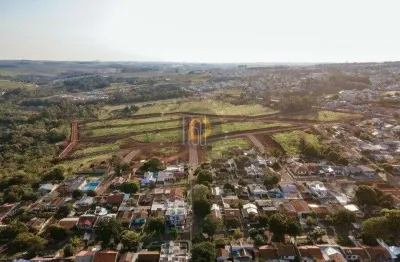 Terreno à venda no Jardim Pancera, Toledo 
