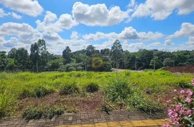 Terreno à venda em Tocantins, Toledo 