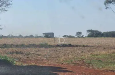 Terreno à venda na Rua Antônio Motta Cruz, Limoeiro, Londrina