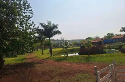 Chácara com 4 dormitórios à venda, 9000 m² por r$ 1.080.000,00 - cidade industrial i - londrina/pr