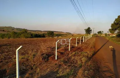 Chácara / sítio à venda na Estrada Major Archiles Pimpão, 1, Limoeiro, Londrina