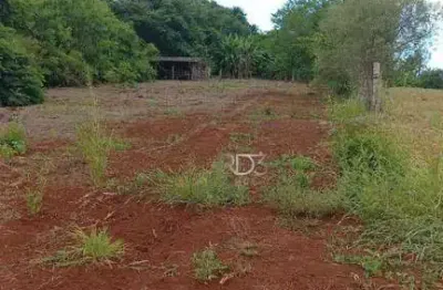 Chácara à venda, 10000 m² por r$ 480.000,00 - zona rural - ibiporã/pr