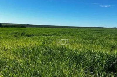 Fazenda à venda, 200 hectares, por r$ 5.000.000 - abadia de goiás - abadia de goiás/go