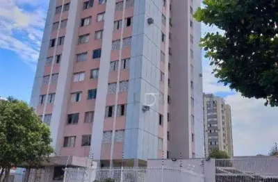 Apartamento com 3 dormitórios à venda, 56 m² por r$ 295.000,00 - andrade - londrina/pr