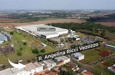 Barracão, 727 m² - venda por r$ 1.900.000,00 ou aluguel por r$ 12.000,00/mês - indústrias leves - londrina/pr