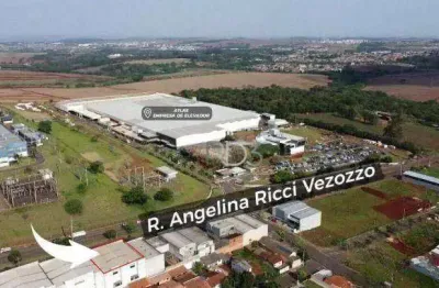 Barracão, 727 m² - venda por r$ 1.900.000,00 ou aluguel por r$ 12.000,00/mês - indústrias leves - londrina/pr