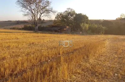 Chácara / sítio à venda na Rodovia Br-369, 1, Contorno Norte, Ibiporã