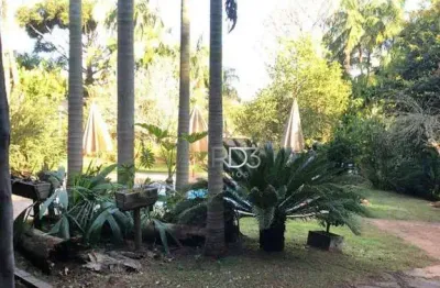 Chácara com 3 dormitórios à venda, 3000 m² por r$ 2.500.000,00 - parque universidade - londrina/pr