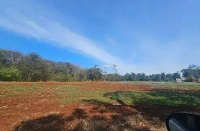 Terreno à venda, 14000 m² por r$ 2.600.000,00 - eucaliptos - londrina/pr