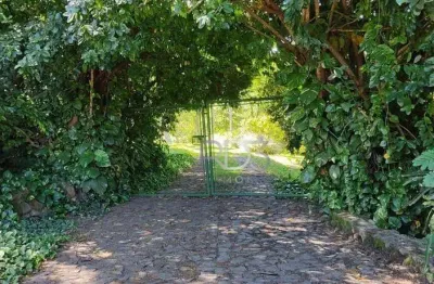 Terreno à venda na Estrada Dos Pioneiros, 41, Zona Rural, Ibiporã