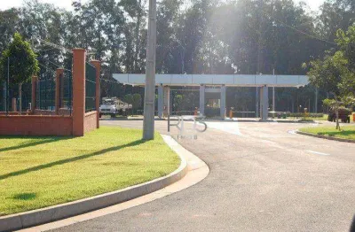 Terreno à venda, 364 m² por R$ 1.249.000,00 - Vivendas Do Arvoredo - Londrina/PR