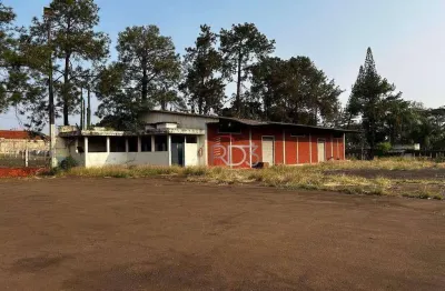 Barracão, 11500 m² - venda por R$ 26.000.000,00 ou aluguel por R$ 100.000,00/mês - Jardim Rosicler - Londrina/PR