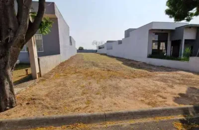 Terreno em condomínio fechado à venda na Avenida José Puccinelli, 1140, Jardim São José, Paulínia