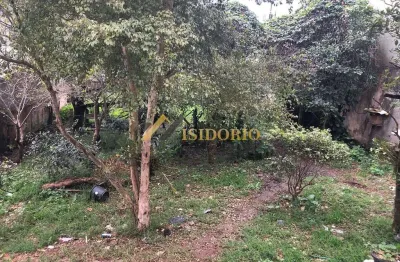 Terreno no paloma, bem localizado!! 480m² de área total, zr4