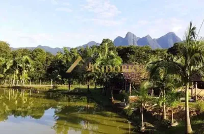 Chacará em antonina! Tanque de peixe, piscina, área gourmet
