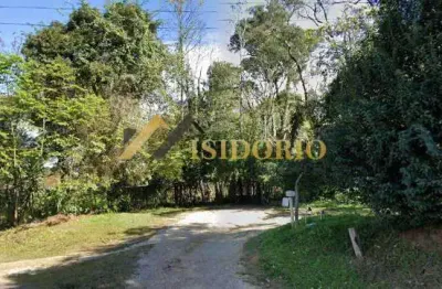 Ótimo terreno na theodoro makiolka! 20.000m². venha conhecer!