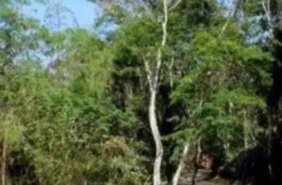 Terreno em condomínio fechado em aclive com área de 1000m2
