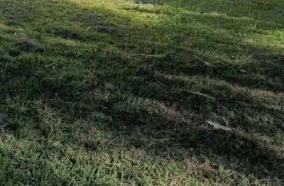 Terreno à venda, 275 m² por r$ 650.000,00 - condomínio ibiti royal park - sorocaba/sp