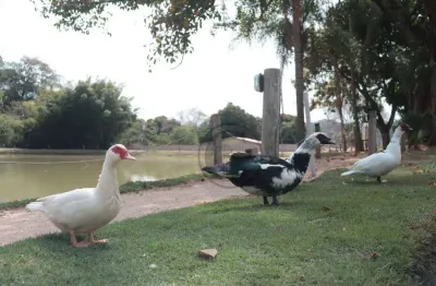 Terreno à venda, 269 m² por R$ 186.855 - Condominio Vista Verde Sorocaba - Sorocaba/SP