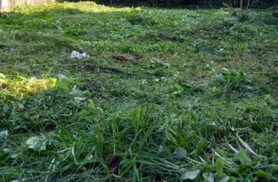 Terreno em bertioga , beira do mar ,aceita permuta como parte de pagamento