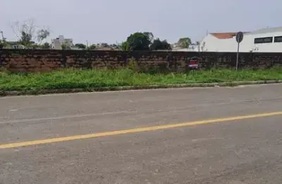 Terreno comercial à venda na rua benemérito ernesto lehmann, vila nova, mafra por r$ 459.000