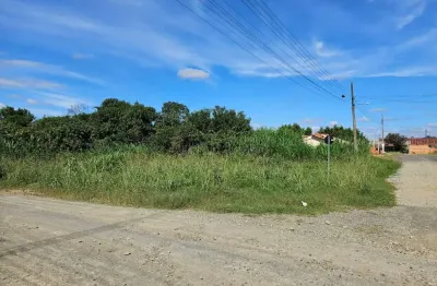 Terreno à venda na rua benemérito martim schafascheck, vila nova, mafra por r$ 255.000