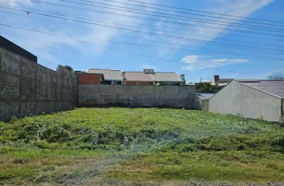 Terreno à venda na rua benemérita amanda von linsingen hable, vila nova, mafra por r$ 240.000