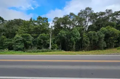 Terreno em condomínio fechado à venda na rodovia br 280, são pedro, rio negrinho por r$ 1.500.000