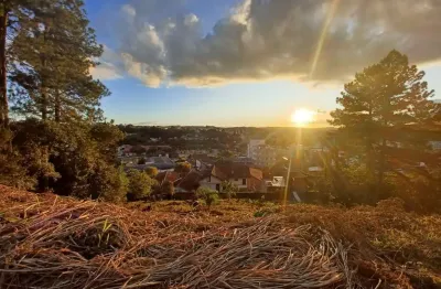 Terreno à venda na rua professora adelaide da costa, centro, rio negrinho por r$ 198.000